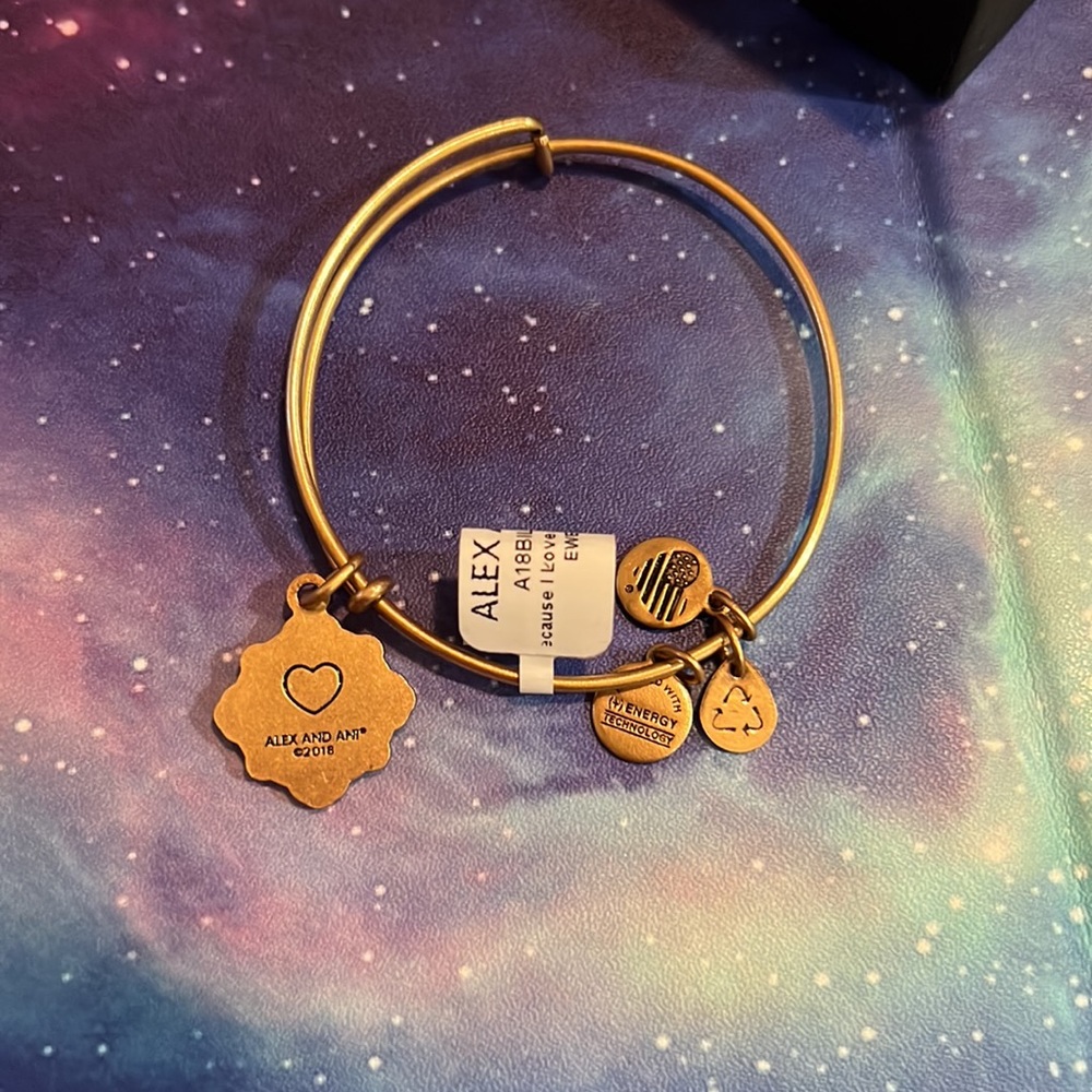 Limited Addition Alex and Ani Daughter with Swarovski Crystals on charm - Picture 3 of 5